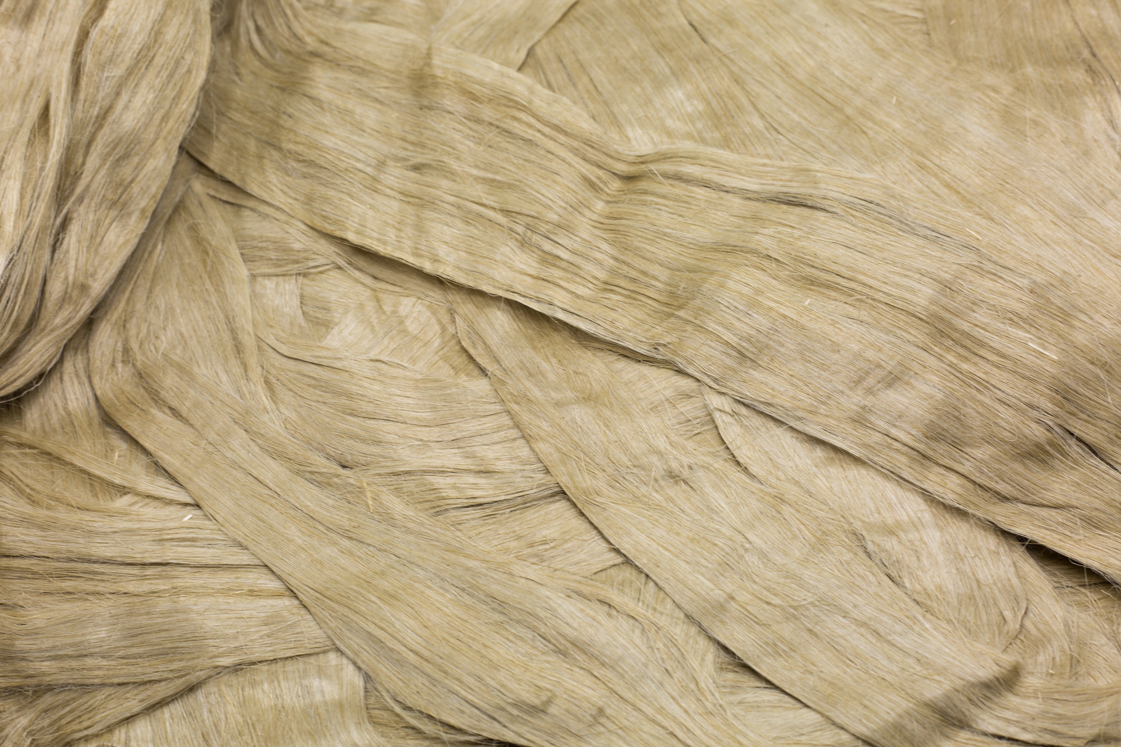 Flax Sliver for Dry & Wet Spinning